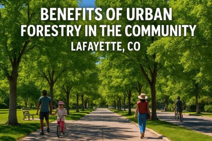 The Environmental Benefits of Trees in Lafayette, CO