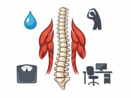 Daily Habits to Maintain a Healthy Spine