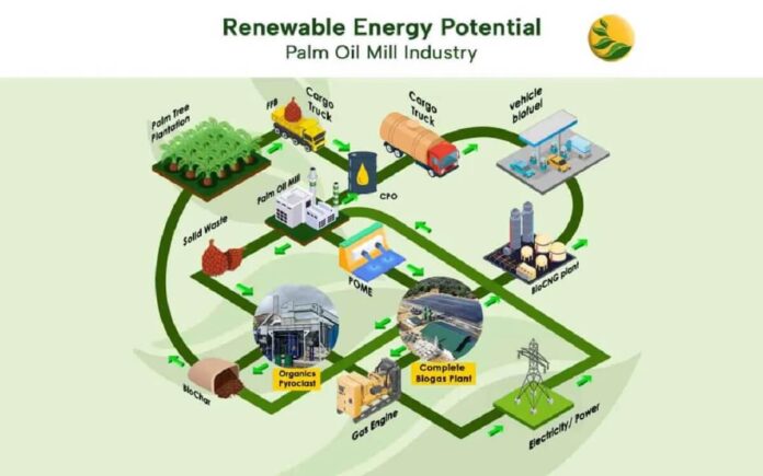The Future of Renewable Infrastructure Turning Oil Palm Waste Into Power